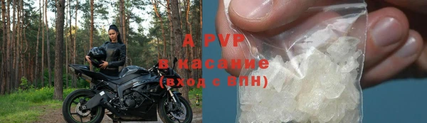 СК Белокуриха