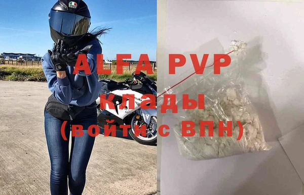 СК Белокуриха
