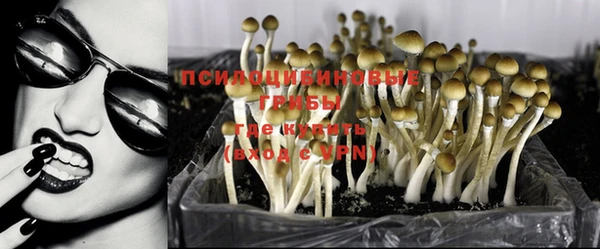 СК Белокуриха