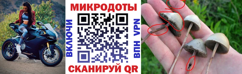 блэк спрут ССЫЛКА  где купить наркоту  Вилюйск  Галлюциногенные грибы прущие грибы 